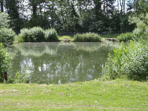Field Farm Fisheries