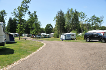 Whitefield Forest Touring Park