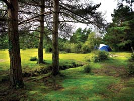 Roundhill - Keycamp
