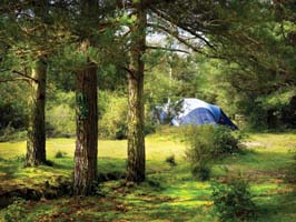 Roundhill - Keycamp