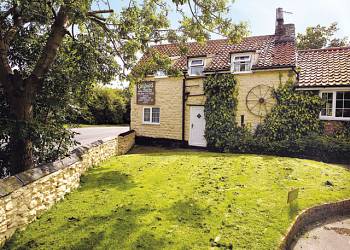 Orchard Farm