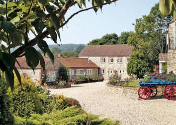 Otter Falls in Devon - England - Fishing Holidays